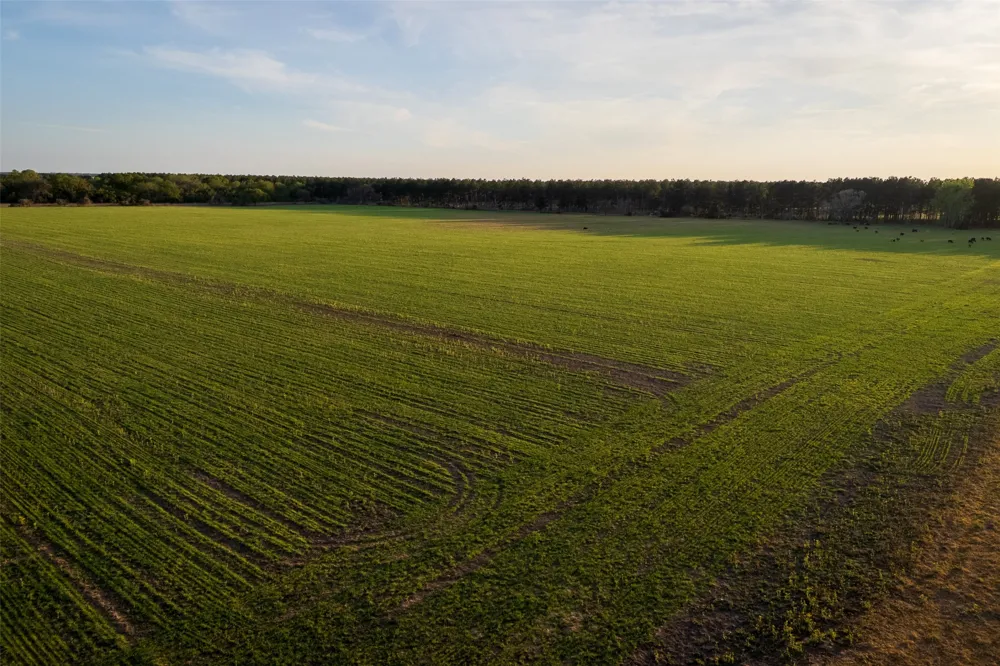 County Rd 117 Elkhart, TX 75839