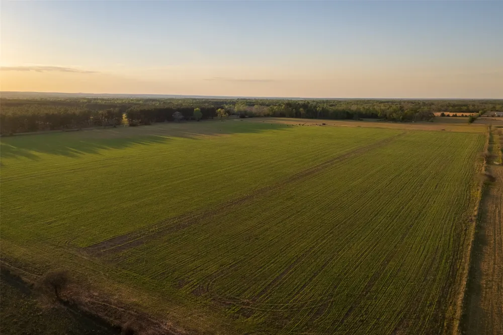 County Rd 117 Elkhart, TX 75839