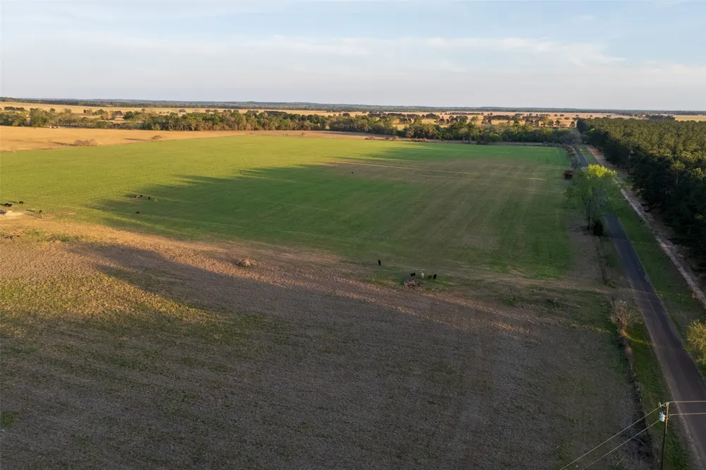 County Rd 117 Elkhart, TX 75839