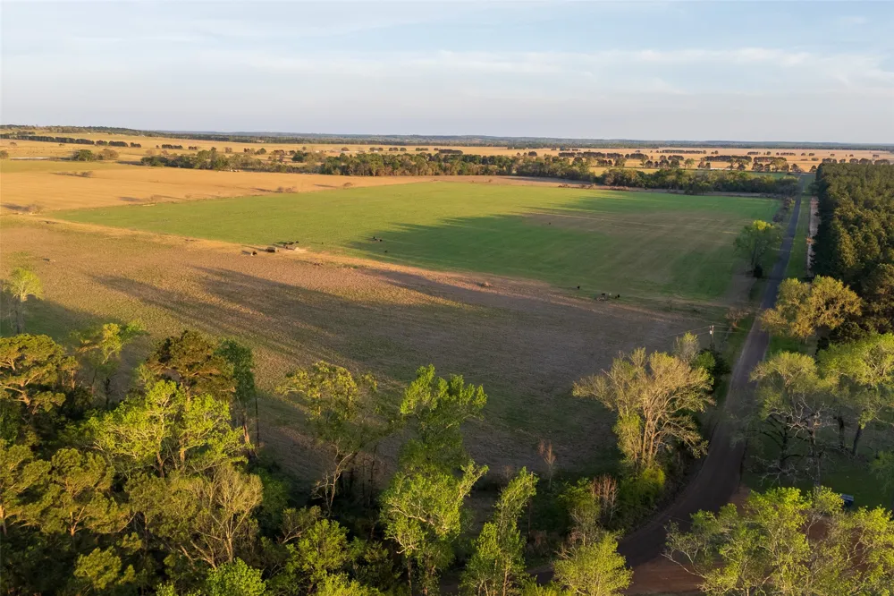 County Rd 117 Elkhart, TX 75839