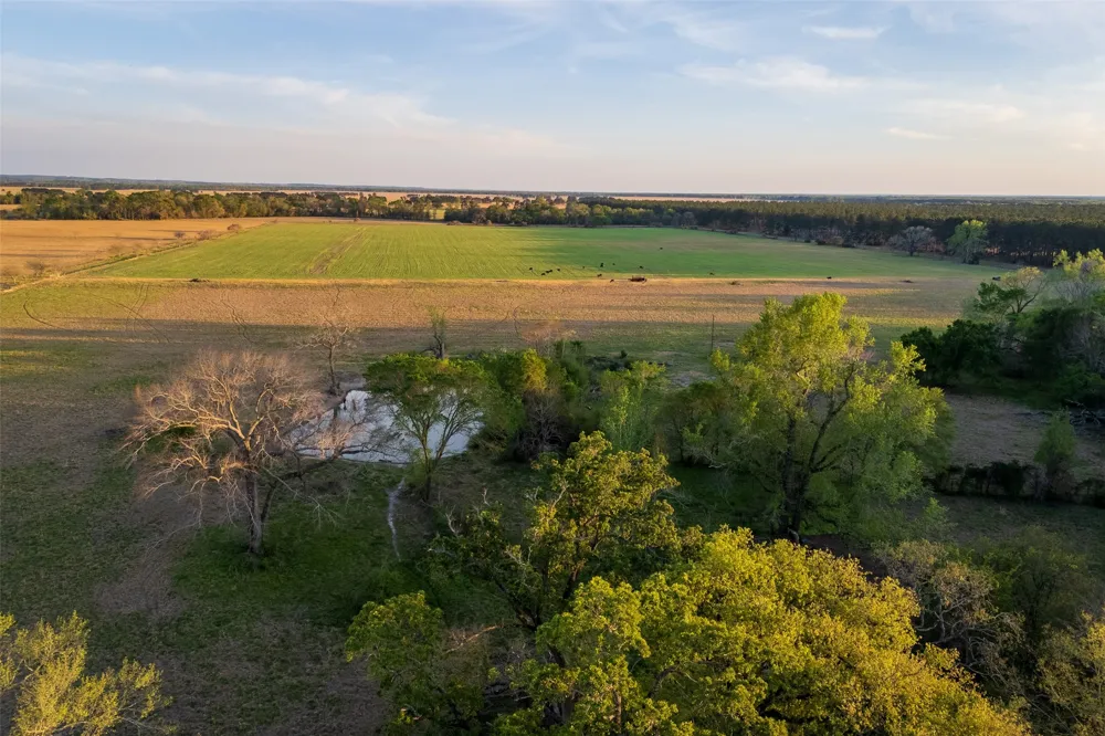 County Rd 117 Elkhart, TX 75839