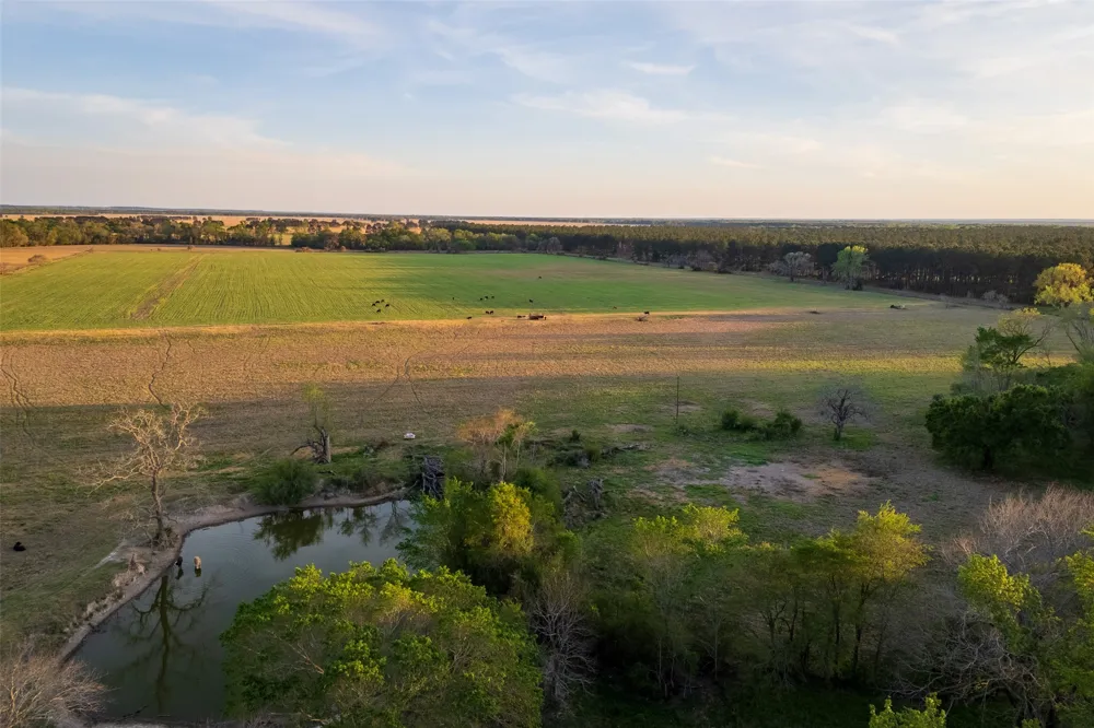 County Rd 117 Elkhart, TX 75839