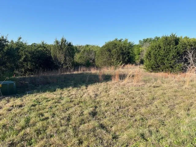 207 Morning Dove Court Cresson, TX 76035