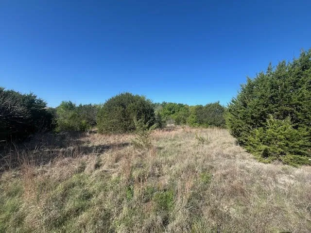 207 Morning Dove Court Cresson, TX 76035