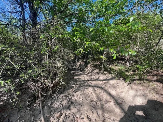 207 Morning Dove Court Cresson, TX 76035