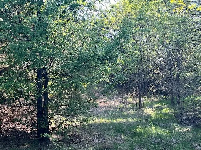207 Morning Dove Court Cresson, TX 76035