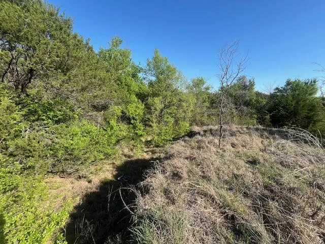 207 Morning Dove Court Cresson, TX 76035