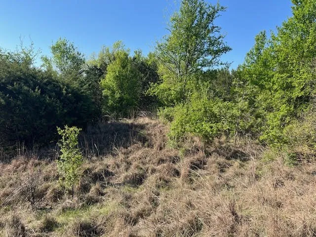 207 Morning Dove Court Cresson, TX 76035