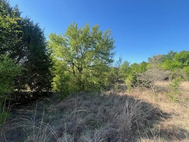 207 Morning Dove Court Cresson, TX 76035