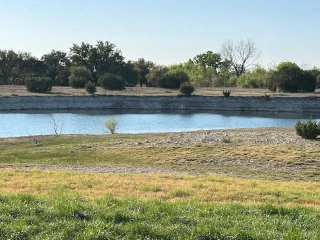 207 Morning Dove Court Cresson, TX 76035