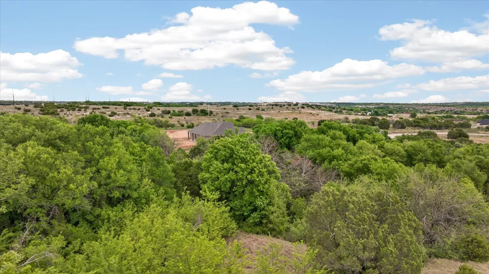 207 Morning Dove Court Cresson, TX 76035