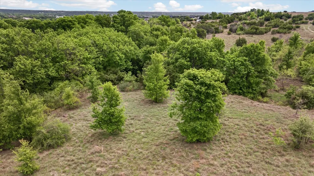 207 Morning Dove Court Cresson, TX 76035