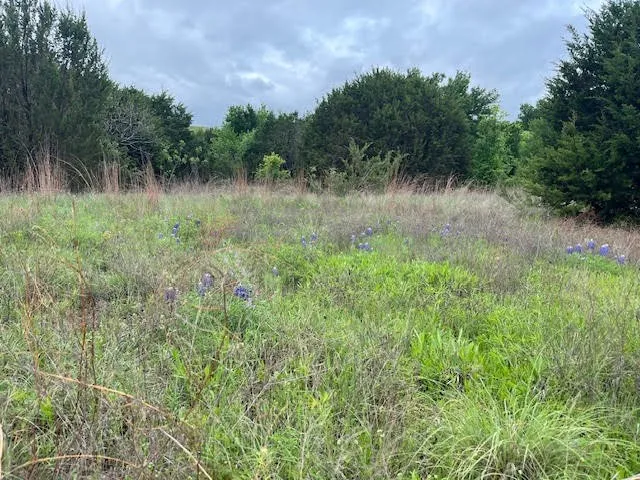 207 Morning Dove Court Cresson, TX 76035