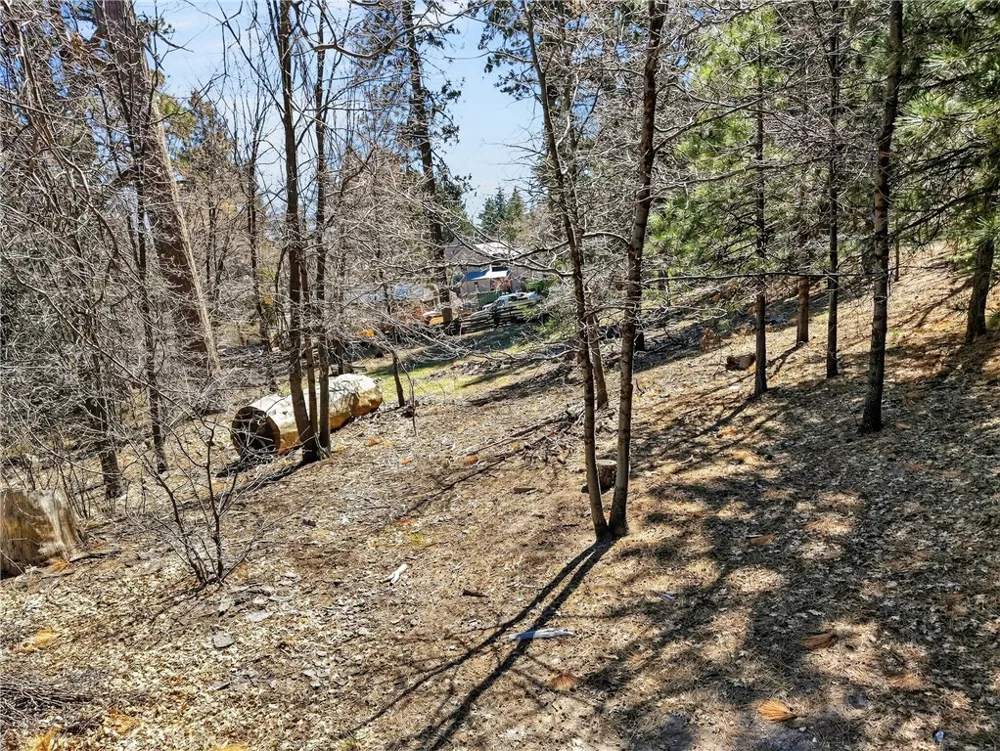 Cepu Road Running Springs, CA 92382