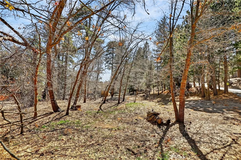 Cepu Road Running Springs, CA 92382