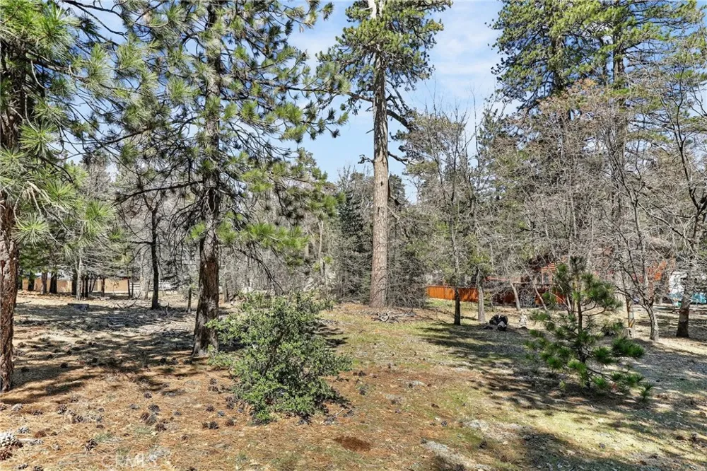 Cepu Road Running Springs, CA 92382