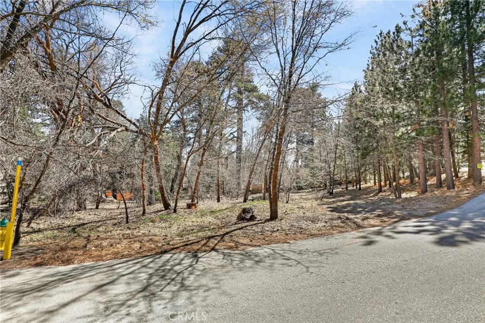 Cepu Road Running Springs, CA 92382
