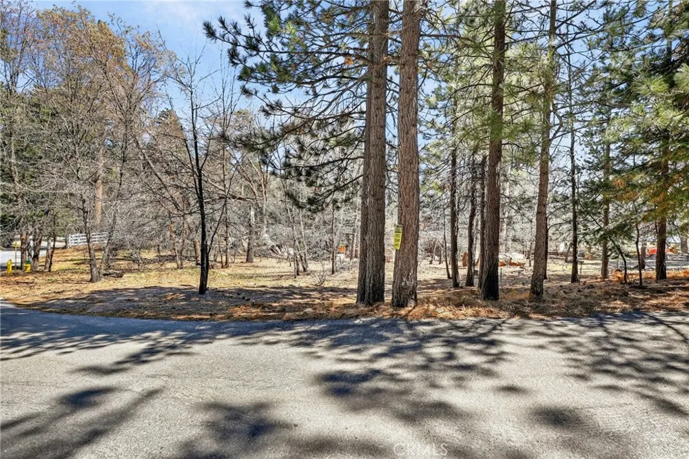 Cepu Road Running Springs, CA 92382