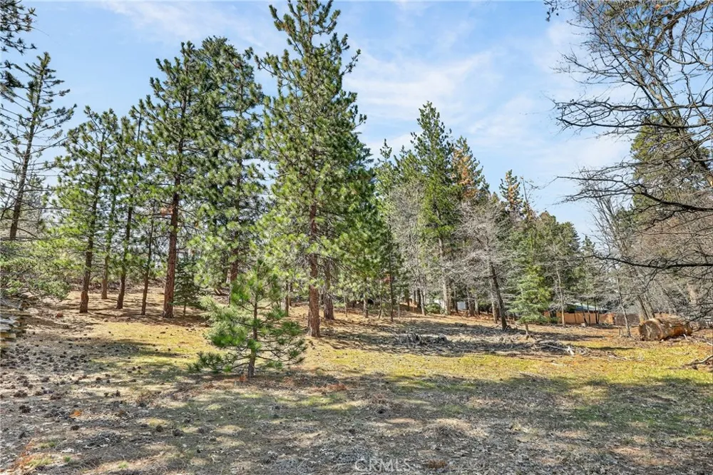 Cepu Road Running Springs, CA 92382