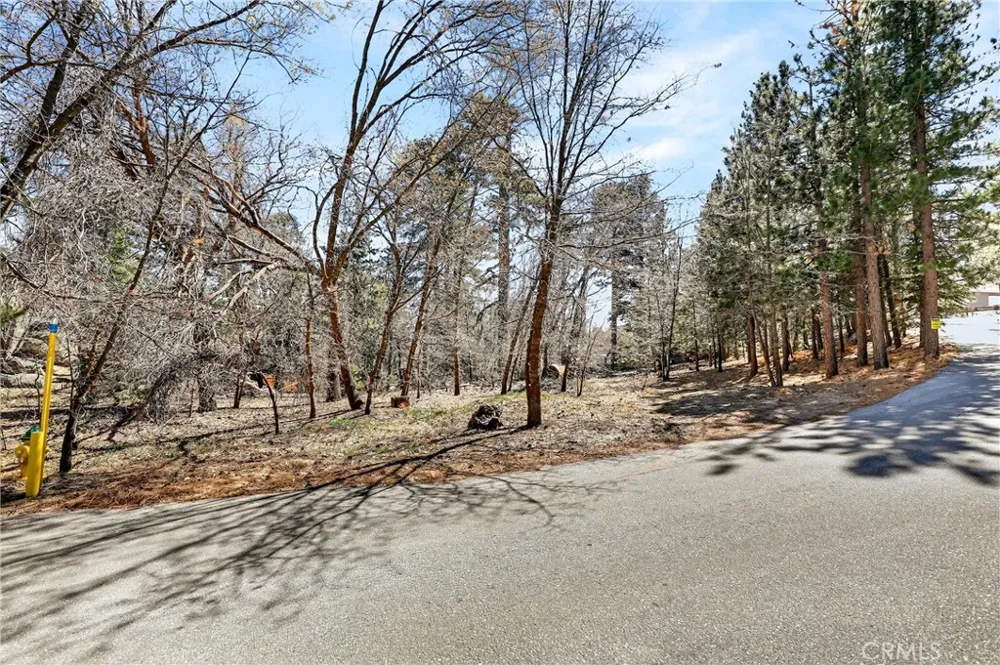 Cepu Road Running Springs, CA 92382
