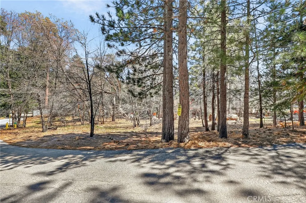Cepu Road Running Springs, CA 92382