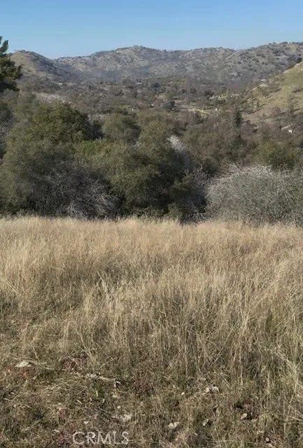 Chuckwagon Road