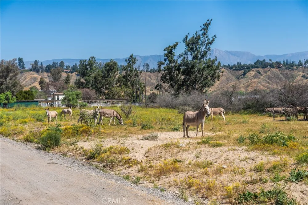 Boyscout Road Redlands, CA 92373