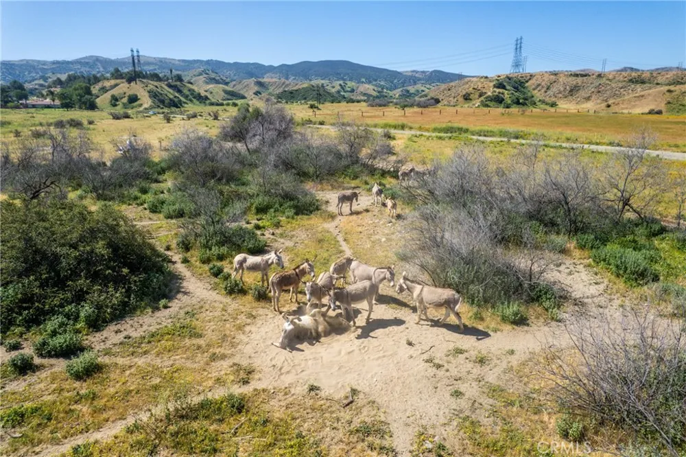 Boyscout Road Redlands, CA 92373