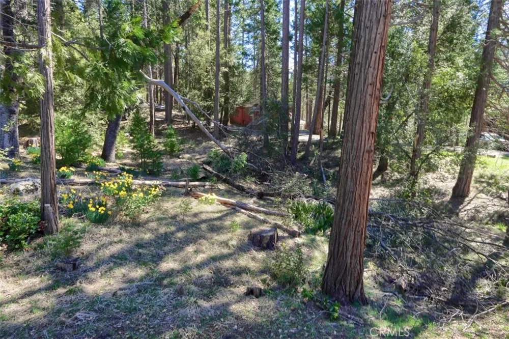 2580 River Wawona, CA 95389