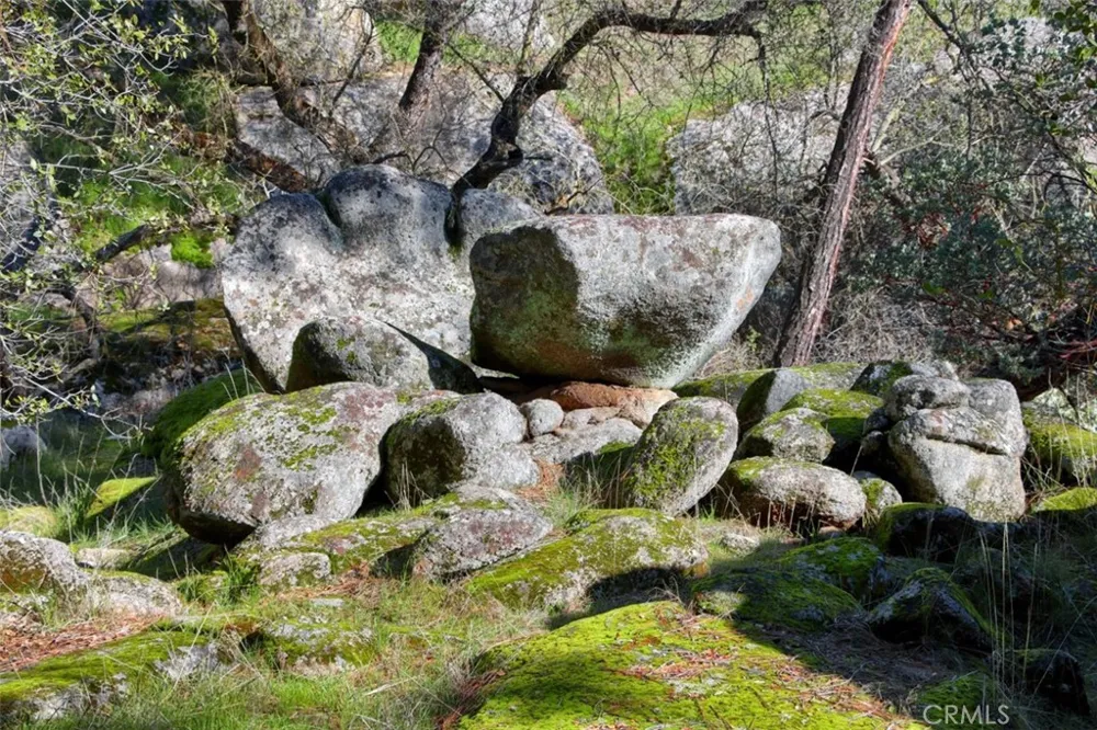 Long Hollow Drive Coarsegold, CA 93614
