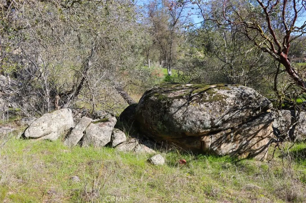 Long Hollow Drive Coarsegold, CA 93614