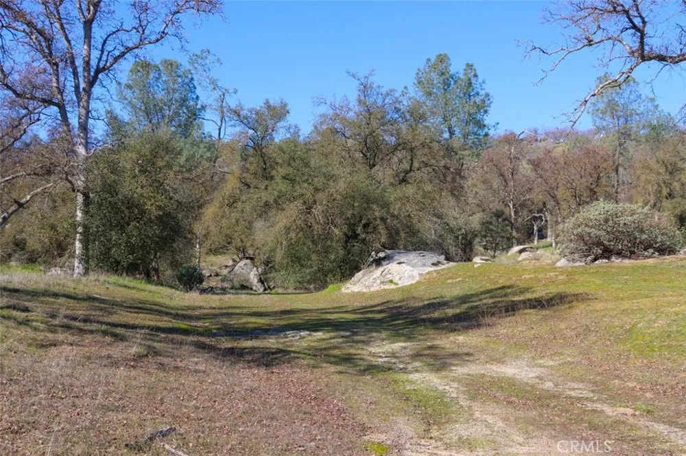 Long Hollow Drive Coarsegold, CA 93614