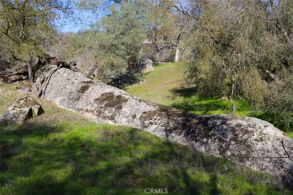 Long Hollow Drive Coarsegold, CA 93614