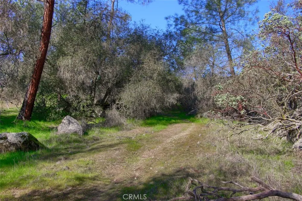 Long Hollow Drive Coarsegold, CA 93614