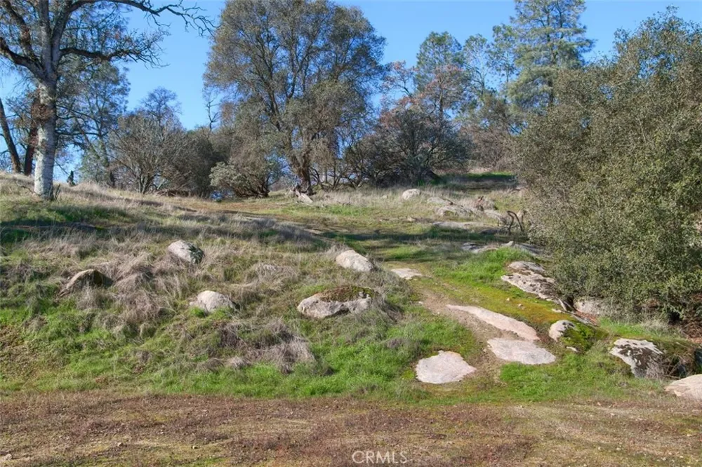 Long Hollow Drive Coarsegold, CA 93614