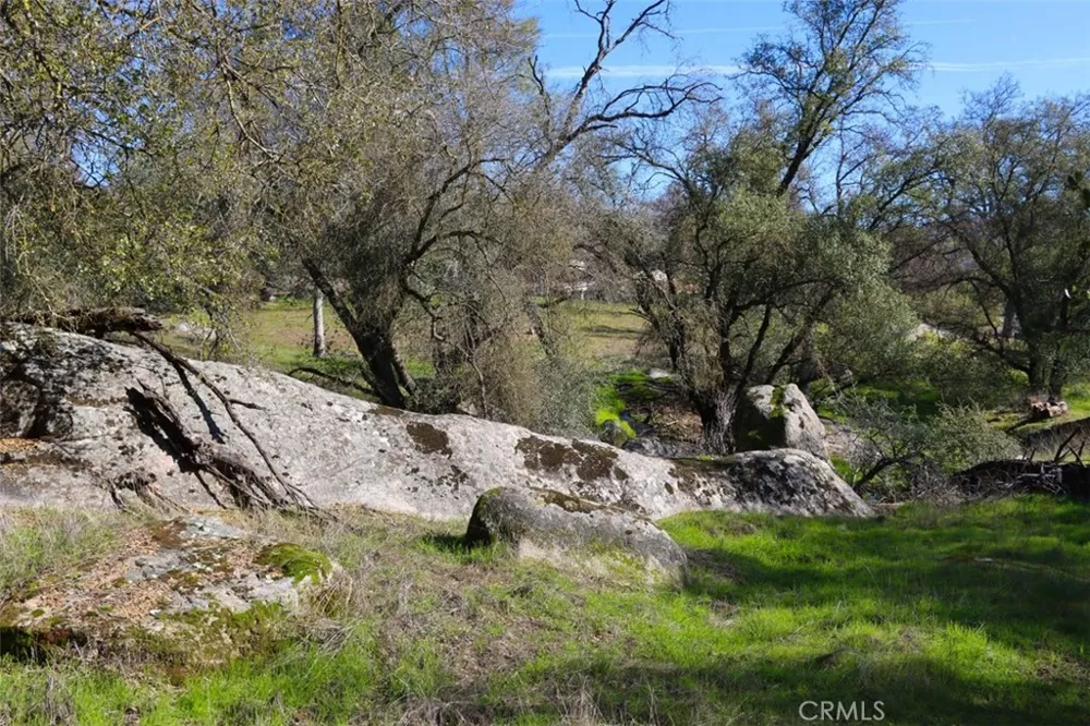 Long Hollow Drive Coarsegold, CA 93614