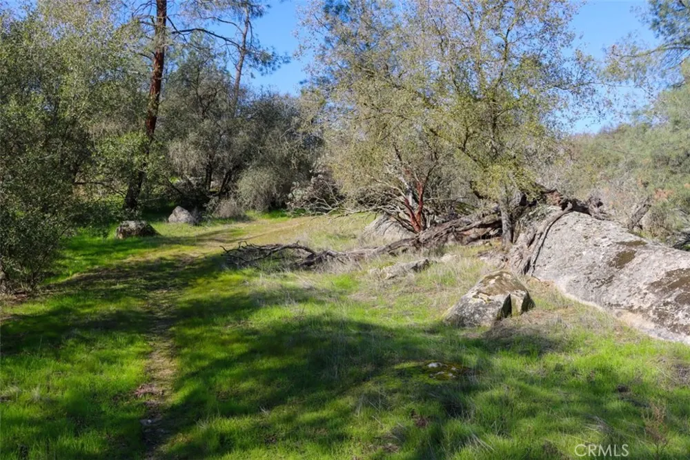Long Hollow Drive Coarsegold, CA 93614