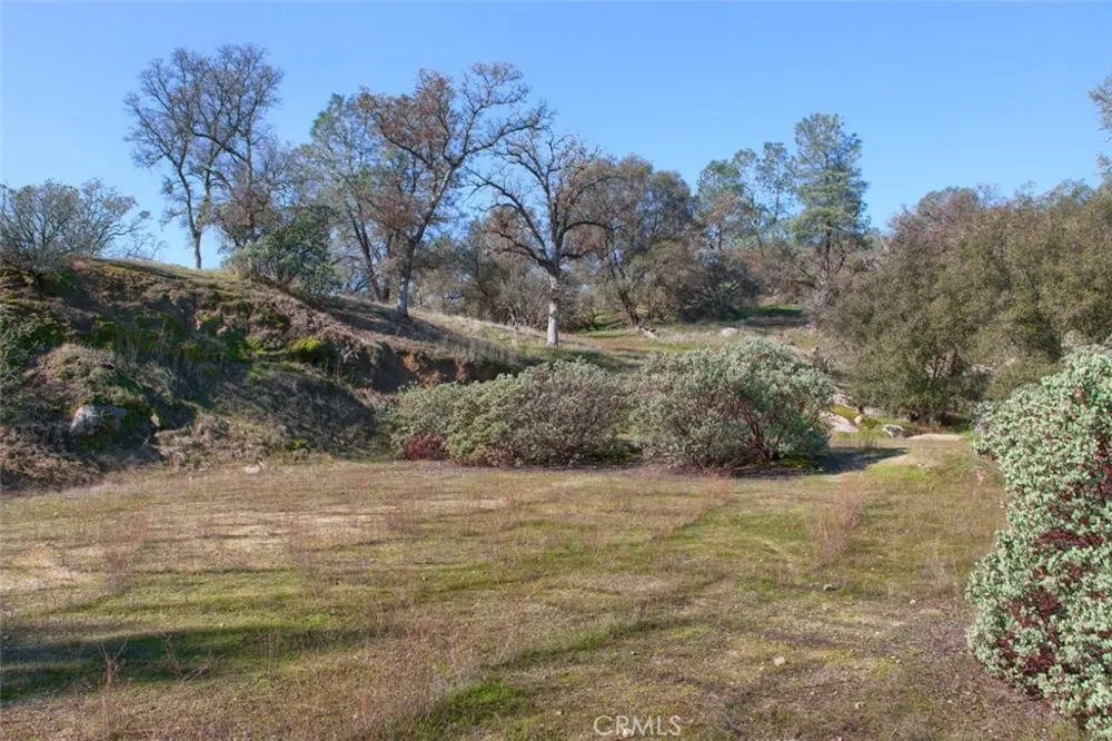 Long Hollow Drive Coarsegold, CA 93614