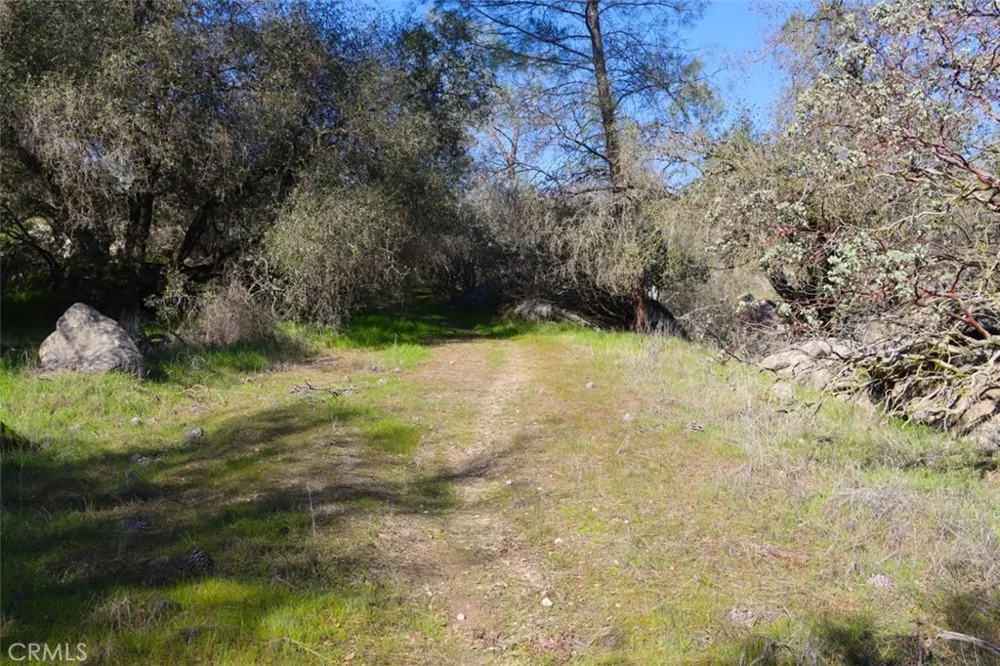 Long Hollow Drive Coarsegold, CA 93614