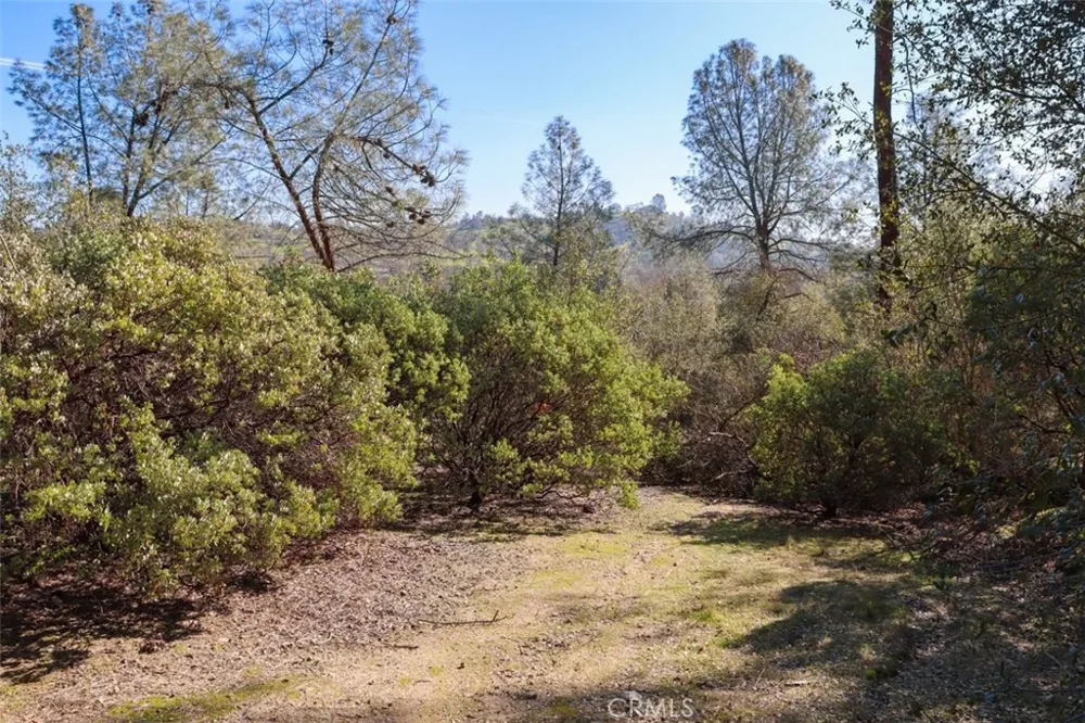 Long Hollow Drive Coarsegold, CA 93614