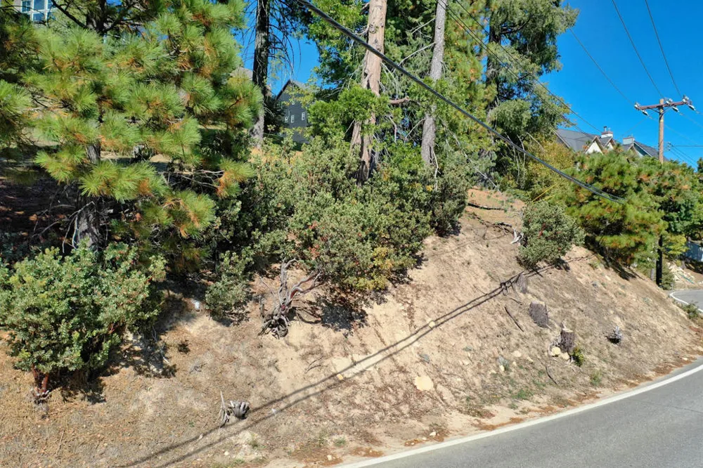 788 Brentwood Drive Lake Arrowhead, CA 92352