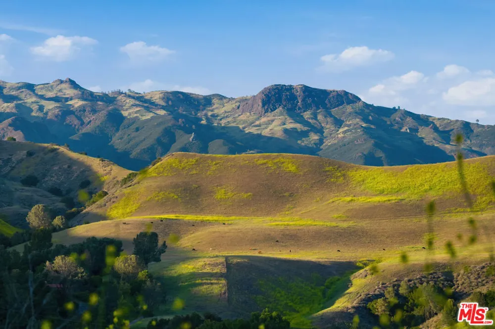 2160 Rambling Oaks Road Santa Ynez, CA 93460