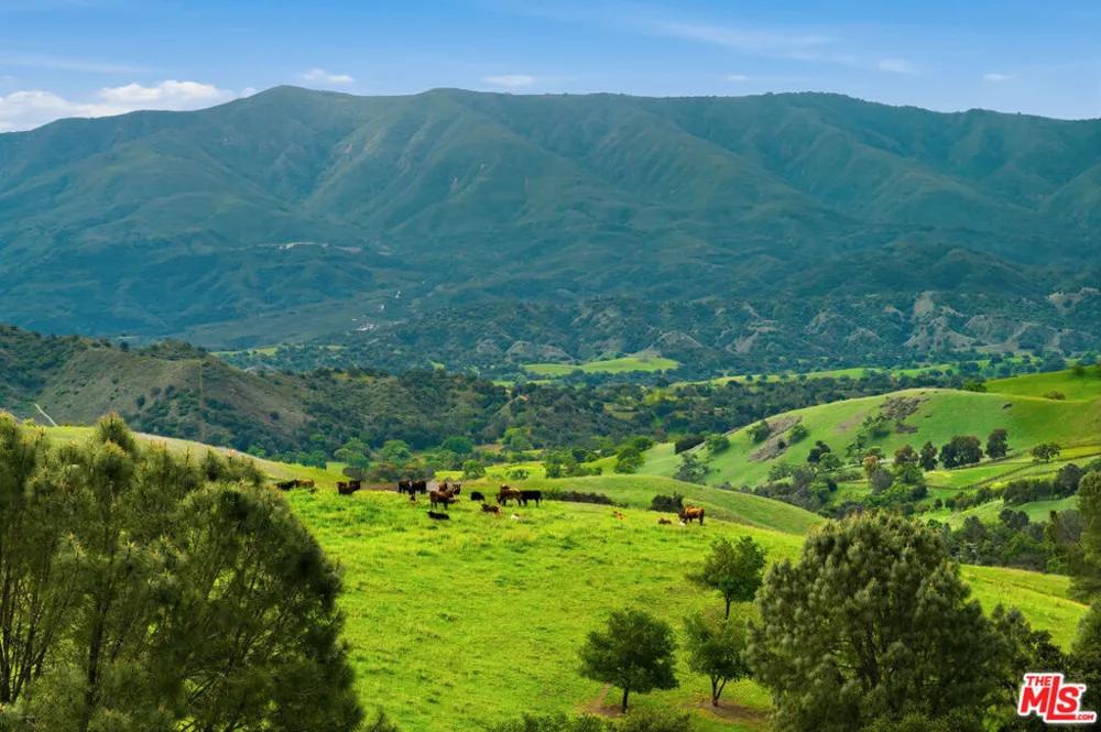 2160 Rambling Oaks Road Santa Ynez, CA 93460