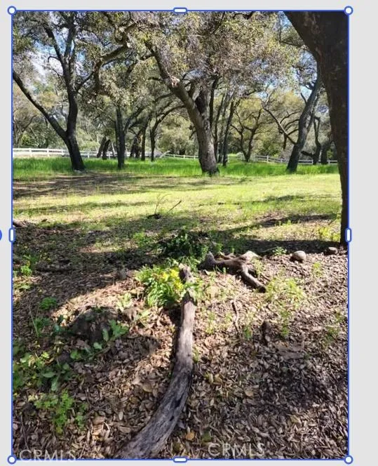 19411 Live Oak Canyon Trabuco Canyon, CA 92679