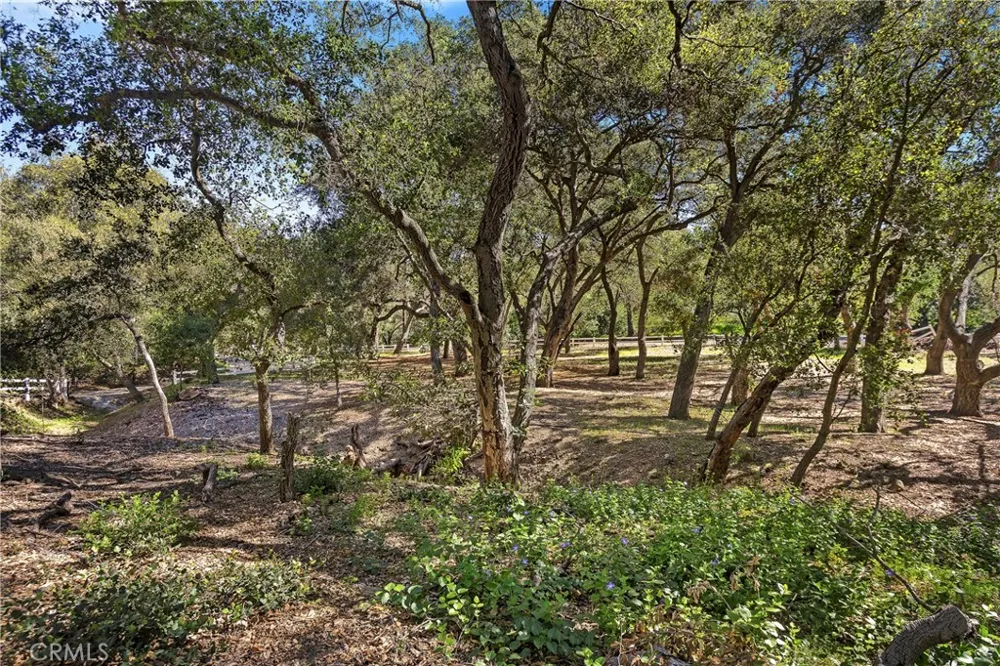 19411 Live Oak Canyon Trabuco Canyon, CA 92679