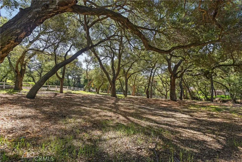 19411 Live Oak Canyon Trabuco Canyon, CA 92679
