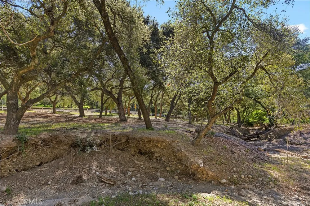 19411 Live Oak Canyon Trabuco Canyon, CA 92679