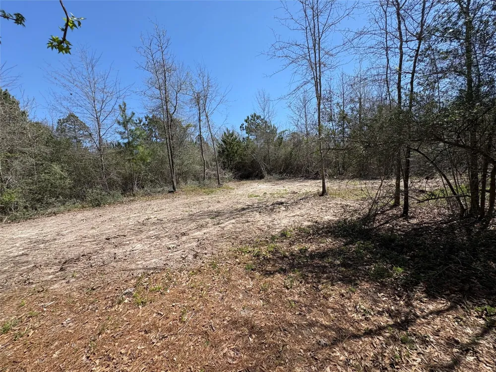 County Road 4180 Lovelady, TX 75851