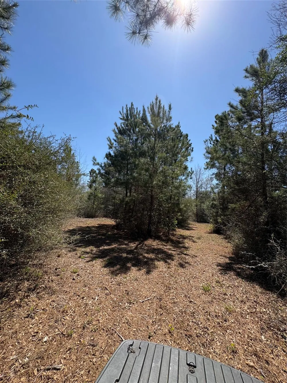 County Road 4180 Lovelady, TX 75851
