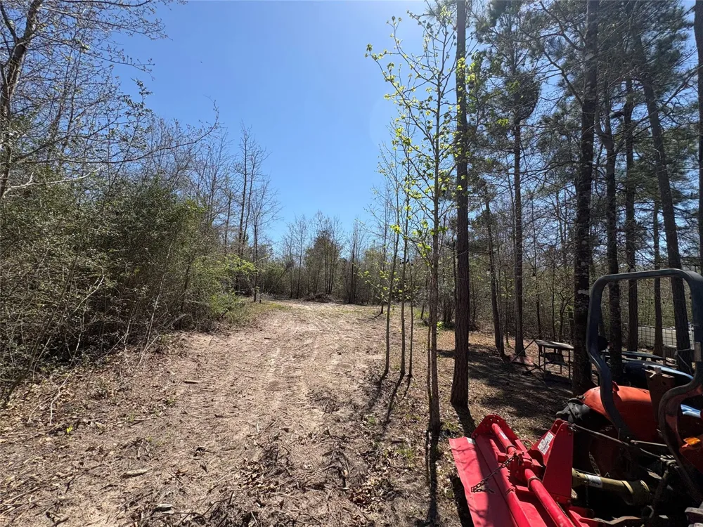 County Road 4180 Lovelady, TX 75851